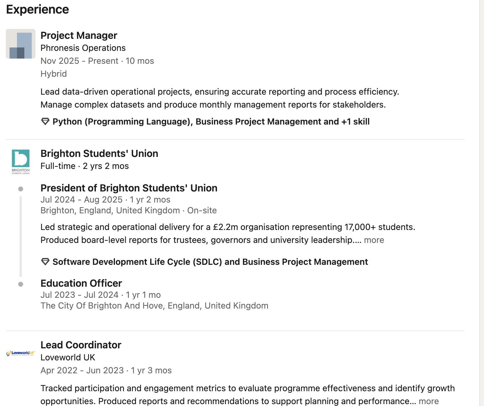 Example of an edited LinkedIn experience section